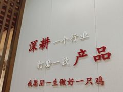 -食鸡公社辣子鸡·潍坊菜·烧烤