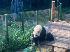 -大连森林动物园