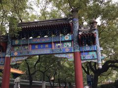 -北京国子监胡同