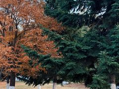 -长春世界雕塑园冰雪艺术天地