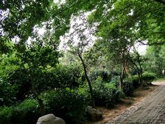 -雨花胜境