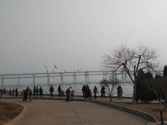 -星海湾跨海大桥