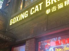 -Boxing Cat Brewery拳击猫精酿啤酒馆(永福店)