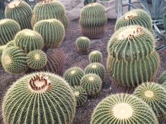 -北京植物园-展览温室