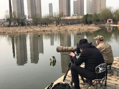 -前关湿地公园