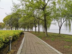 -阳澄湖半岛旅游度假区