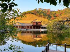 -黄陂区野村谷景区