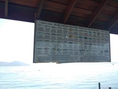 -东姑阿都拉曼海洋公园