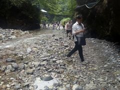 生态区滩涂-峨眉山报国寺
