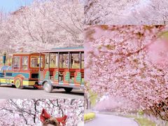 -古柏渡飞黄旅游区