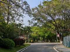 -东莞植物园