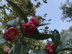 -华南国家植物园-售票处