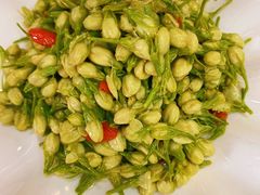 凉拌茉莉花-白魁老号饭庄(交道口店)