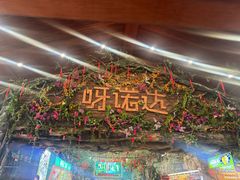 -呀诺达热带雨林