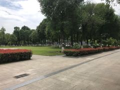 -眉山湿地公园(东坡区)