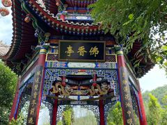 -渭南桃花源民俗文化园