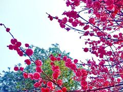 -钱王祠