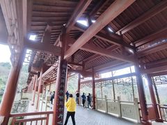 -重庆彩云湖湿地公园