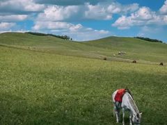 -塞罕坝国家级自然保护区
