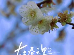 -重庆彩云湖湿地公园
