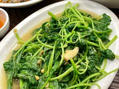 -长平肥姐白粥·海鲜打冷