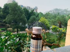 -中旅阿那亚九龙湖·公主酒店