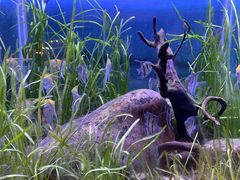 -海合安武汉极地海洋公园