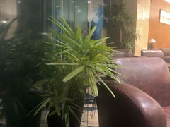 -荷风细雨·中国茶宴(碧云店)