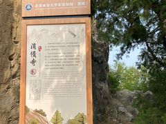 -北京鹫峰国家森林公园