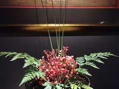 -觀芷隐轩