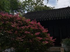 -秋霞圃