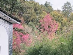 -苍山感通索道