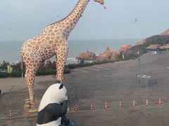 -真利味·脊骨火锅·正宗韩国料理(韩乐坊店)