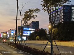 -恒生万鹂广场(唐镇店)