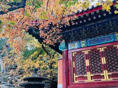-香山公园
