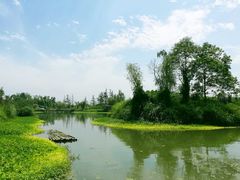 -桤木河湿地公园