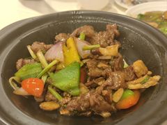 砂锅沙姜牛肉-陶然轩(沙面店)