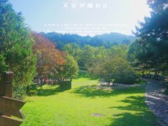 -云峰山自然风景区