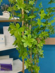 -More摩尔医美の注射线雕光电中心