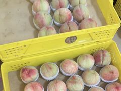 -老袁家蜜桃农场·阳山水蜜桃