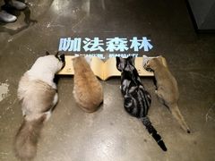 -咖法森林·咖啡  酒吧(天河店)