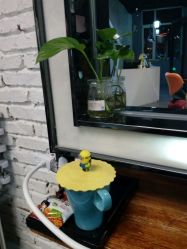 -MAGIC米几发型设计·羊毛卷