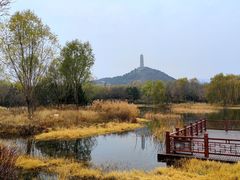 -北坞公园