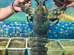 -苏雅经典名食(国际海水浴场店)