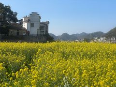 -新安江山水画廊风景区