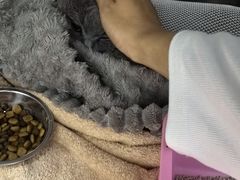 -创凡宠物医院·骨专科  猫科中心(西乡分院)
