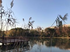 -新江湾城公园