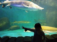 -多彩贵州城极地海洋世界