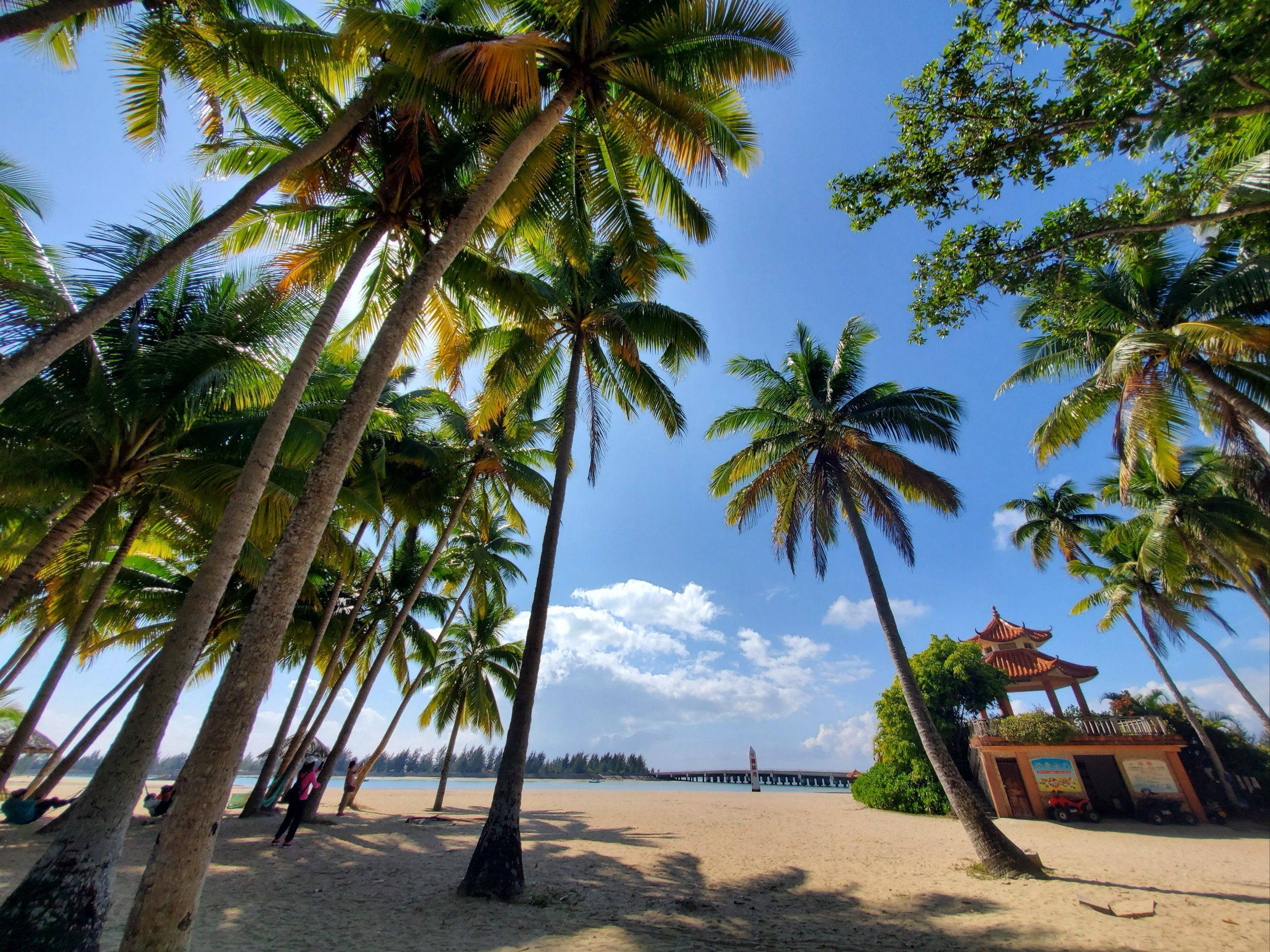 夏天的海南岛,充满活力和热情
蓝天白云,阳光沙滩,椰风海韵,让人