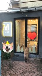 -M Nails & Beauty美甲美睫美体